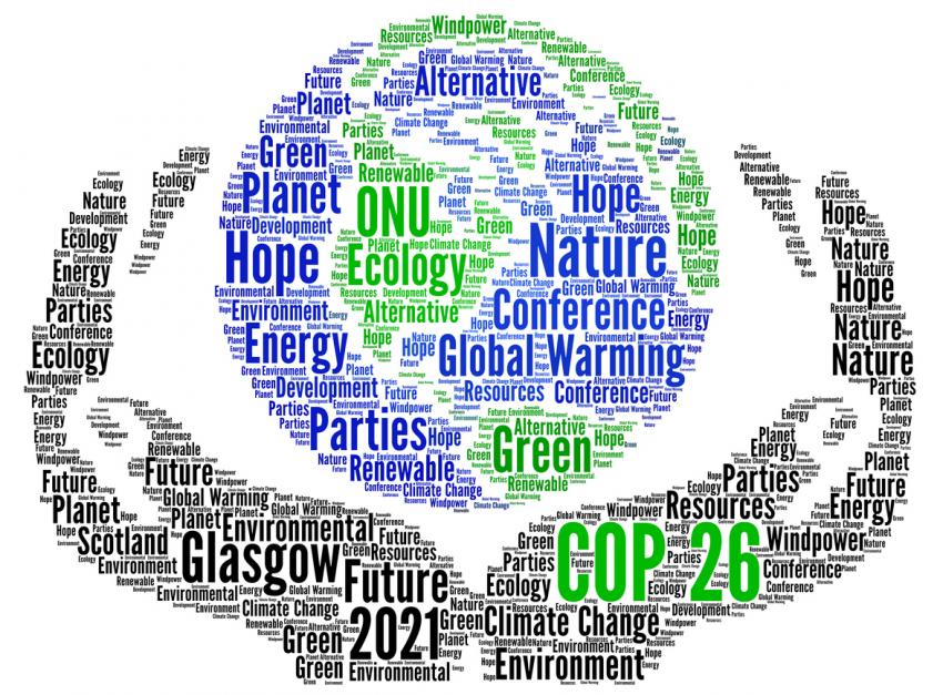 my COP 26 action plan