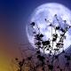 releasing under the february full moon